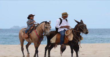 Things To Do Screen Shot 2017-11-23 at 1.11.02 PM.jpg